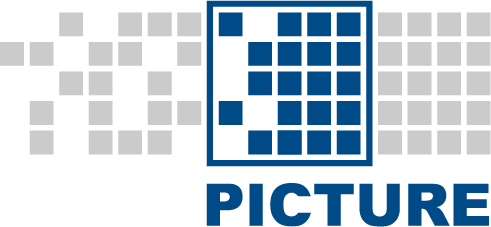 PICTURE GmbH